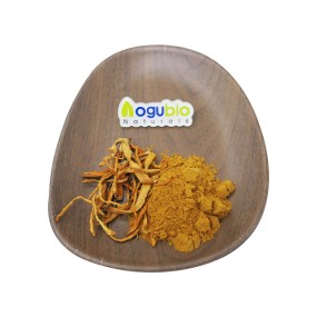 Aogubio Supply Cordyceps Militaris Mushroom Hot Sale Nature Organic Cordyceps Militaris Mushroom Powder