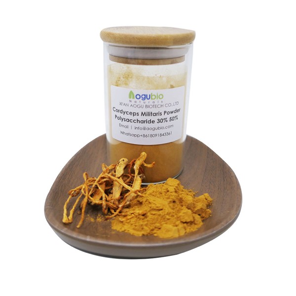 Organic Mushroom Powder Cordyceps Sinensis Extract Polysaccharide 30%