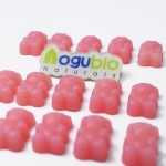 OEM Private Label Factory Supply Magnesium Glycinate Gummies Magnesium Glycinate Ashwagandha Gummies