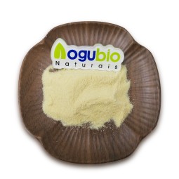 Organic Private Label Natural Banana Powder Super Foods Banana Powder