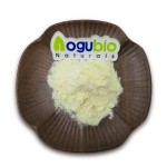 Best Selling Products Orange Fruit Juice Powder OEM Private Label Freeze Dried Orange Powder