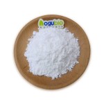 High Quality Arrowroot Powder Pure Natural Arrowroot Powder Bulk Organic Arrowroot Powder