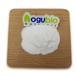 Food Ingredients Streptococcus Thermophilus Freeze-dried Probiotics Powder 10 Billion Streptococcus Thermophilus Powder