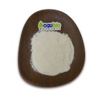 ISO Factory Supply High Quality Natural Sweetener Stachyose 99% Powder with Free Sample