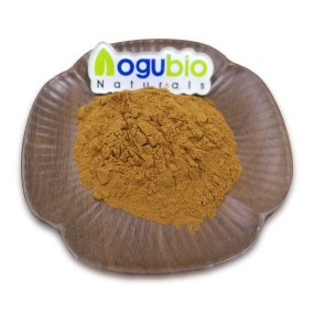 Aogubio Factory Supply High Quality Bamboo Shoot Extract Bamboo Shoot Powder