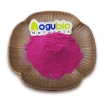 Organic and Natural Red Dragon Fruit Powder Super Food Dragon Fruit Powder