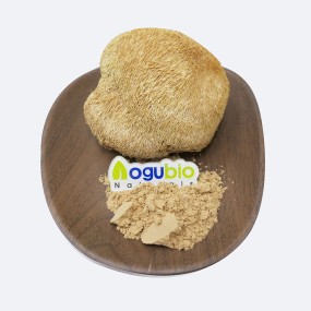 Organic Polysaccharide 30%-50% Lion's Mane Mushroom /Hericium Erinaceus Extract Powder