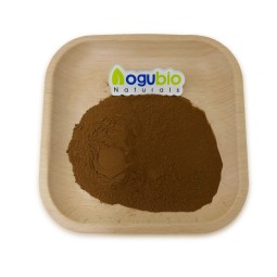 Factory Supply High Quality Turkey Tail Mushroom Extract Plant Extract Turkey Tail Mushroom Extract