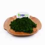 Newest Batch Organic Chlorella Powder Green Chlorella Extract Powder Large Quantity in Stock for Sale