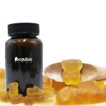 Mushroom Complex Gummy Mushroom Gummies Nootropic Mushroom Gummies