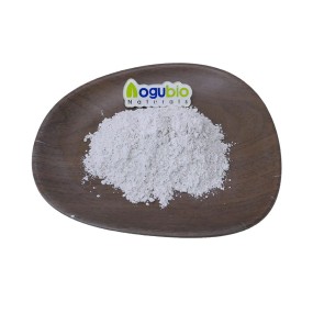 AOGUBIO Supply High Quality Lactobacillus Bulgaricus Probiotics 10 Billion CFU Lactobacillus Bulgaricus