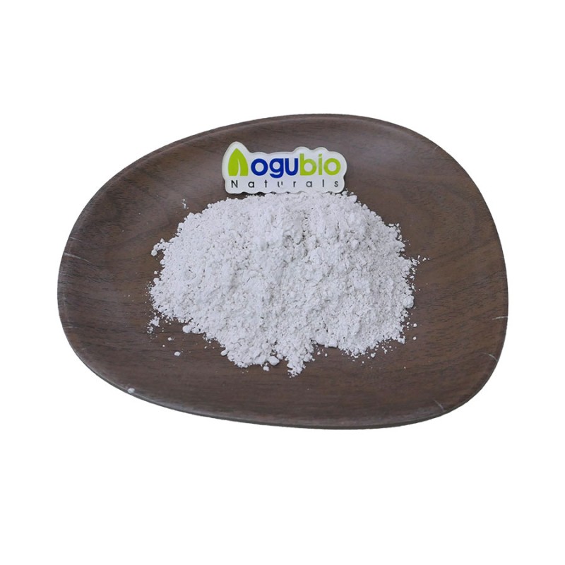 AOGUBIO Supply High Quality Lactobacillus Bulgaricus Probiotics 10 Billion CFU Lactobacillus Bulgaricus