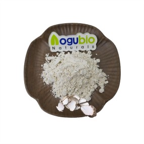 OEM Custom Label Tiger Milk Mushroom Extract Powder