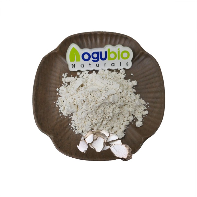 OEM Custom Label Tiger Milk Mushroom Extract Powder