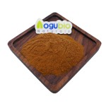AOGUBIO Private Label Mushroom Coffee Lions Mane
