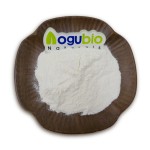 Food Ingredients Streptococcus Thermophilus Freeze-dried Probiotics Powder 10 Billion Streptococcus Thermophilus Powder