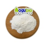 Top Quality Water Soluble Kombucha Tea Extract/Kombucha Tea Powder