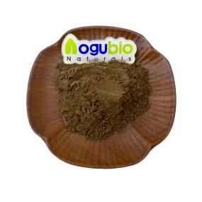 AOGUBIO Natural Supplement Pure Natural Brahmi Powder Bacopa Monnieri Powder