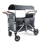 Double Stroller Manufacturer - Push Pull Twin Adjustable Handle