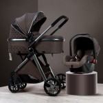 Baby Stroller Manufacturer - High Landscape Aluminum 2 in 1