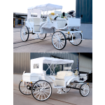 Wedding Carriage Supplier - White Grass Horse Drawn