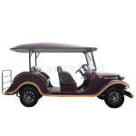 Sightseeing Car Factory - 3 Row 8 Seat Special