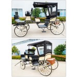 Electric Carriage Factory - Romantic Sightseeing