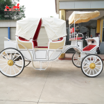 Electric Carriage Supplier - Steel Sightseeing Bus