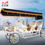 Electric Carriage Supplier - 3 Row 4 Wheel Park Tour