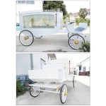 Funeral Vehicle Manufacturer - Steel Electric Hearse