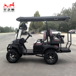 Electric Golf Cart Supplier - Steel Outdoor Use