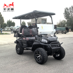 Electric Vehicle Factory - 60V 6 Seater Golf Cart