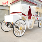 Electric Carriage Supplier - Steel Sightseeing Bus