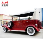 Electric Sightseeing Bus Manufacturer - Steel Material