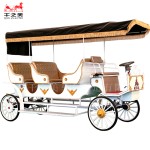 Electric Carriage Supplier - 3 Row 4 Wheel Park Tour