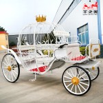 Cinderella Carriage Manufacturer - Electric Off Road