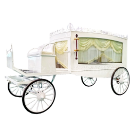 Horse Drawn Hearse Factory - Electric Steel Custom