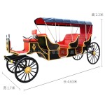 Electric Carriage Supplier - 3 Row 4 Wheel Park Tour