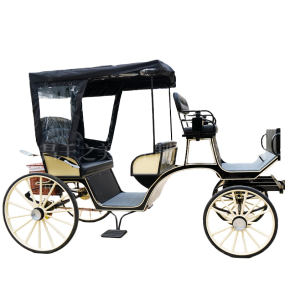 Electric Carriage Factory - Romantic Sightseeing