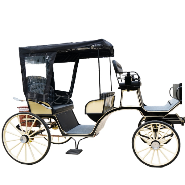 Electric Carriage Factory - Romantic Sightseeing