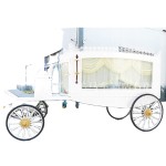 Funeral Vehicle Manufacturer - Steel Electric Hearse