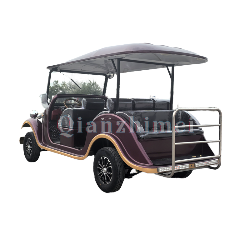 Electric Sightseeing Car Manufacturer - 3 Row 8 Seat