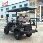 Utility Vehicle Supplier - 60V 6 Seater Luxury