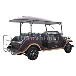 Sightseeing Car Factory - 3 Row 8 Seat Special