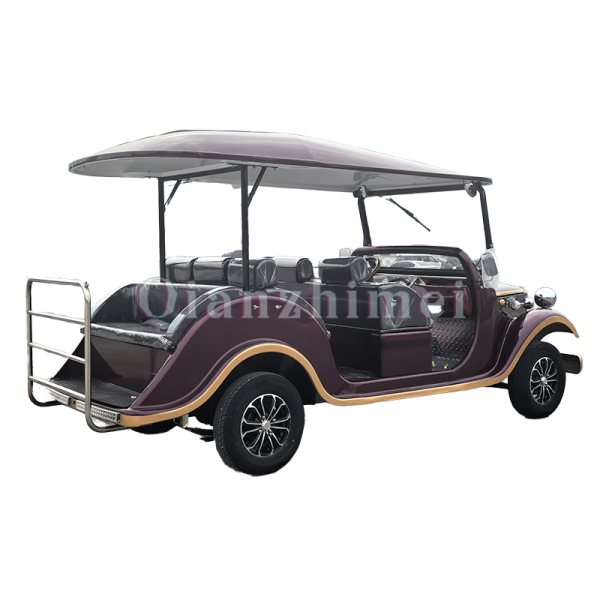 Sightseeing Car Factory - 3 Row 8 Seat Special