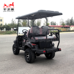 Electric Vehicle Factory - 60V 6 Seater Golf Cart
