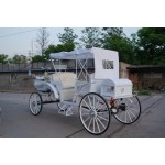 Wedding Carriage Supplier - White Grass Horse Drawn