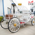 Cinderella Carriage Manufacturer - Electric Off Road