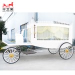 Horse Drawn Hearse Factory - Electric Steel Custom