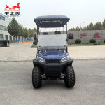 Electric Carriage Manufacturer - Discounted Price Buggy
